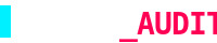 Pinco Audit Logo